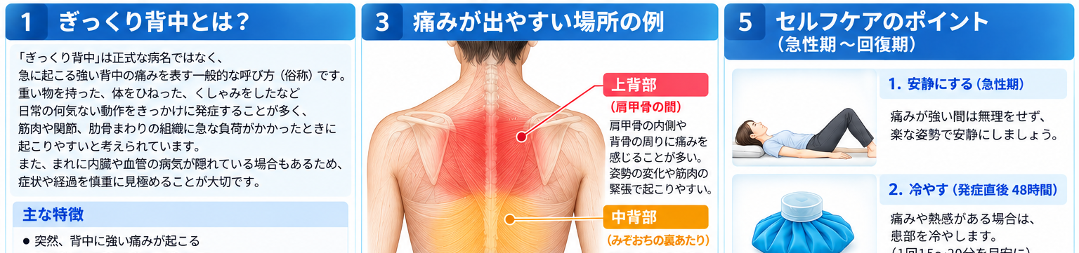 ぎっくり背中の症状・解剖・特徴を示す医学イラスト