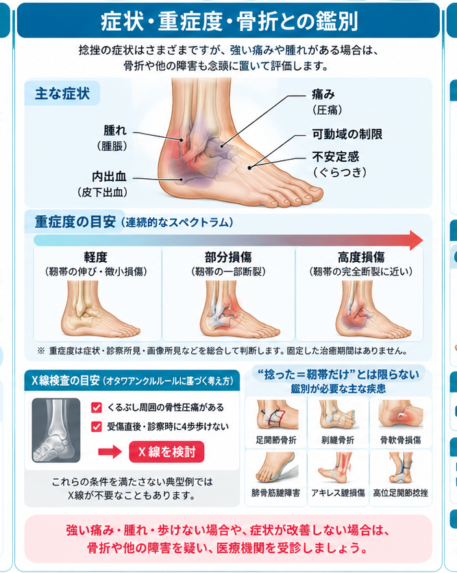 足関節捻挫の原因・評価・鑑別を示す医学イラスト