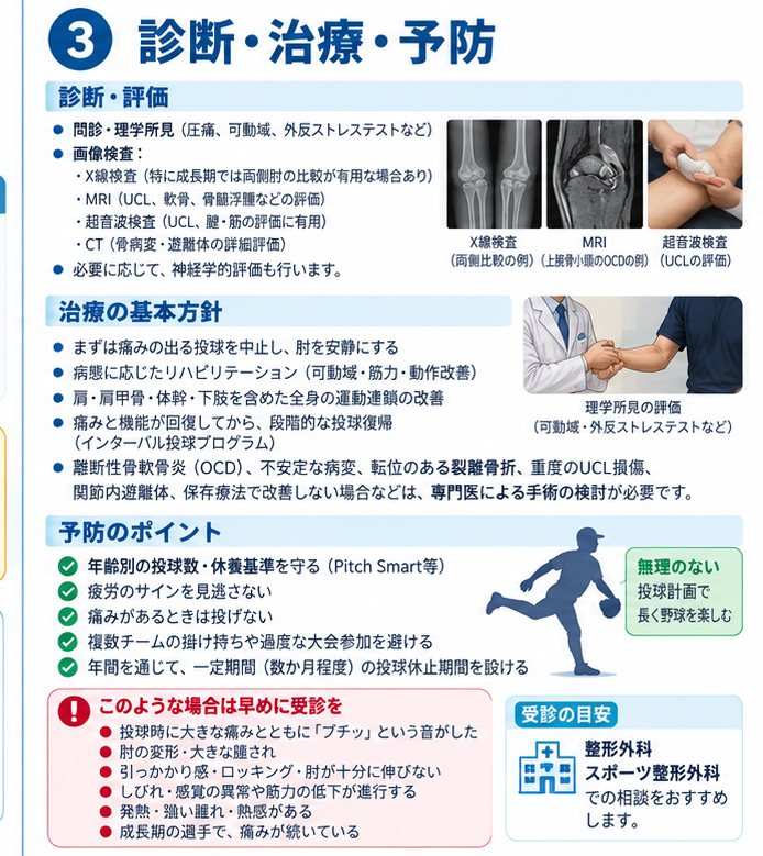 野球肘の対処・治療・受診目安を示す医学イラスト