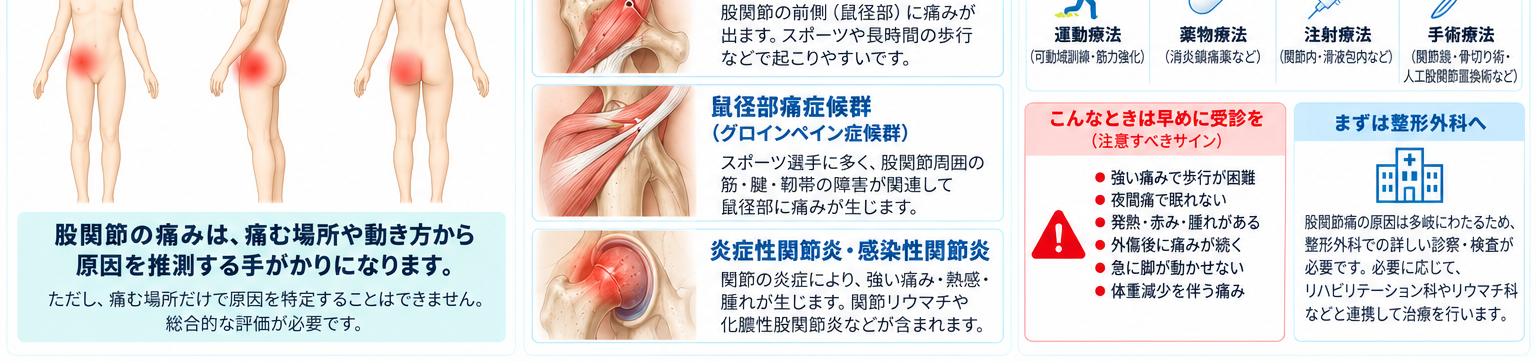 股関節痛の対処・治療・受診目安を示す医学イラスト