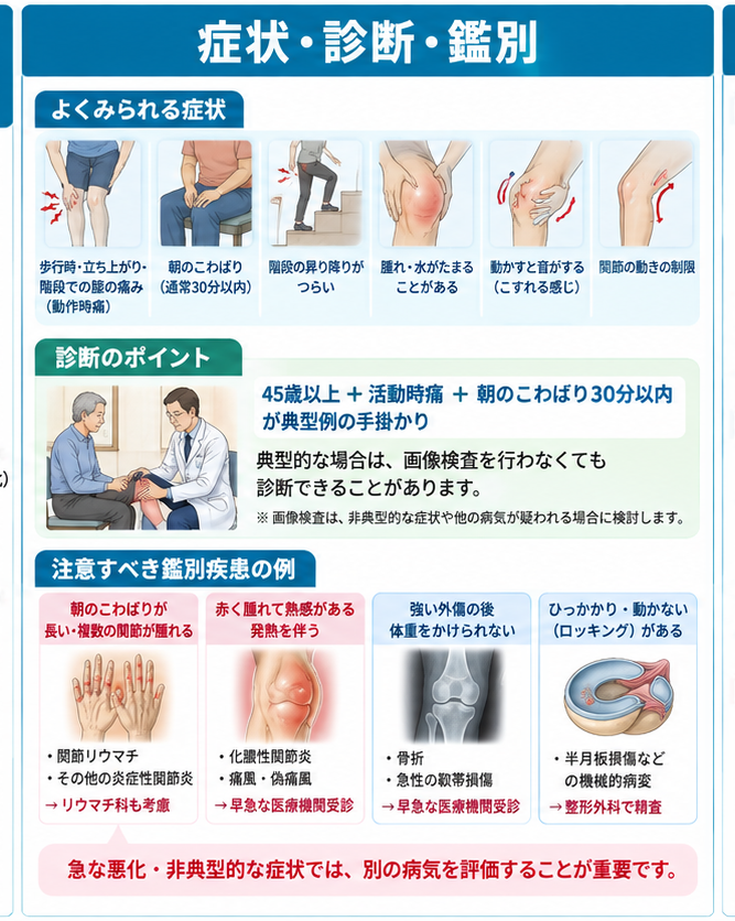 変形性膝関節症の原因・評価・鑑別を示す医学イラスト