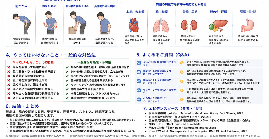 腰痛の対処・治療・受診目安を示す医学イラスト