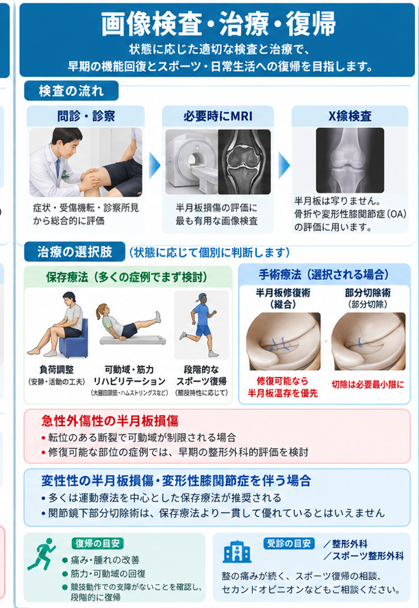 半月板損傷の対処・治療・受診目安を示す医学イラスト