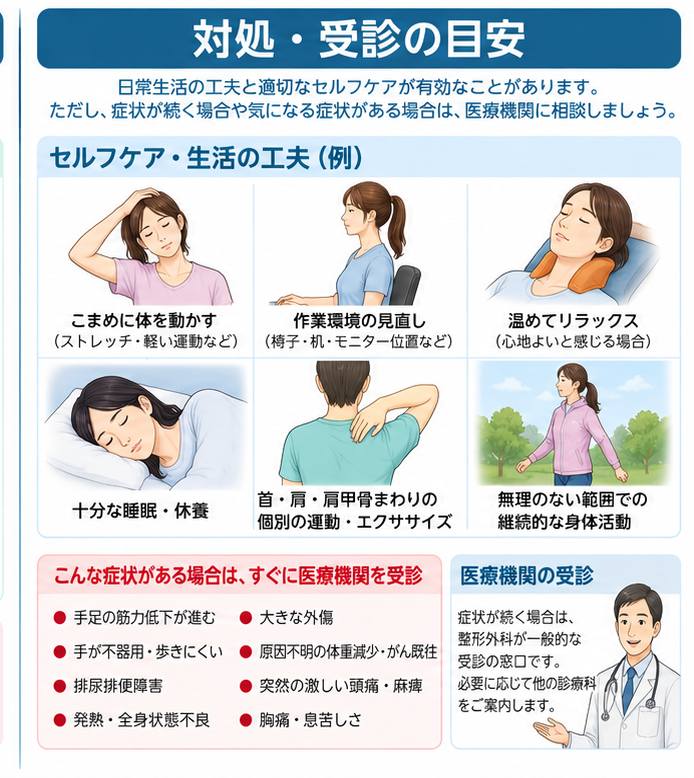 肩こりの対処・治療・受診目安を示す医学イラスト