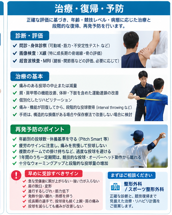 野球肩の対処・治療・受診目安を示す医学イラスト